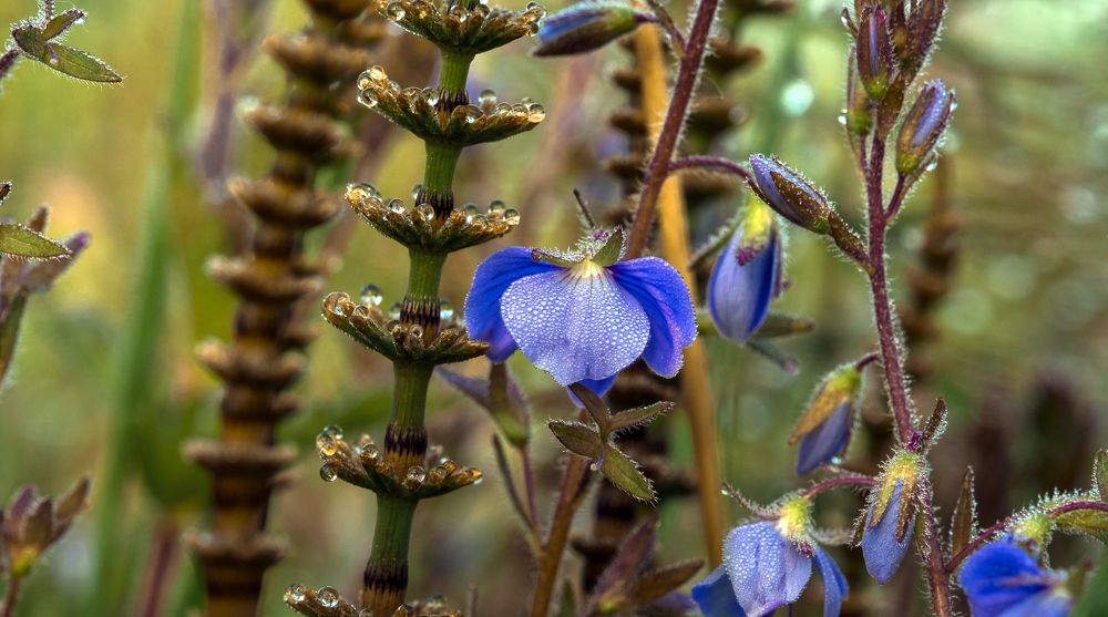 Photograph by Александр Строков