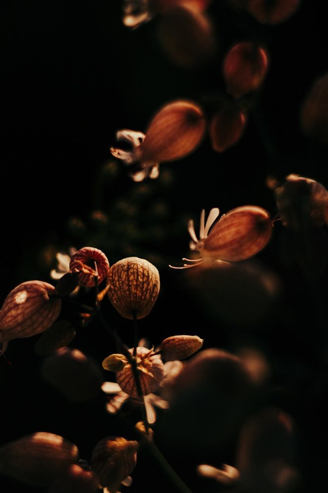 Photograph by Елена Соколова