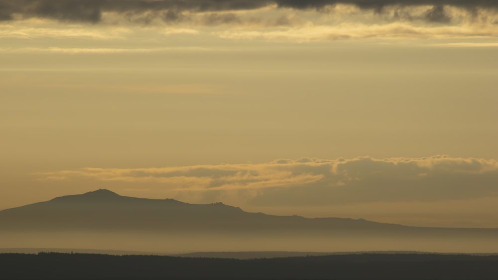 Туманный рассвет