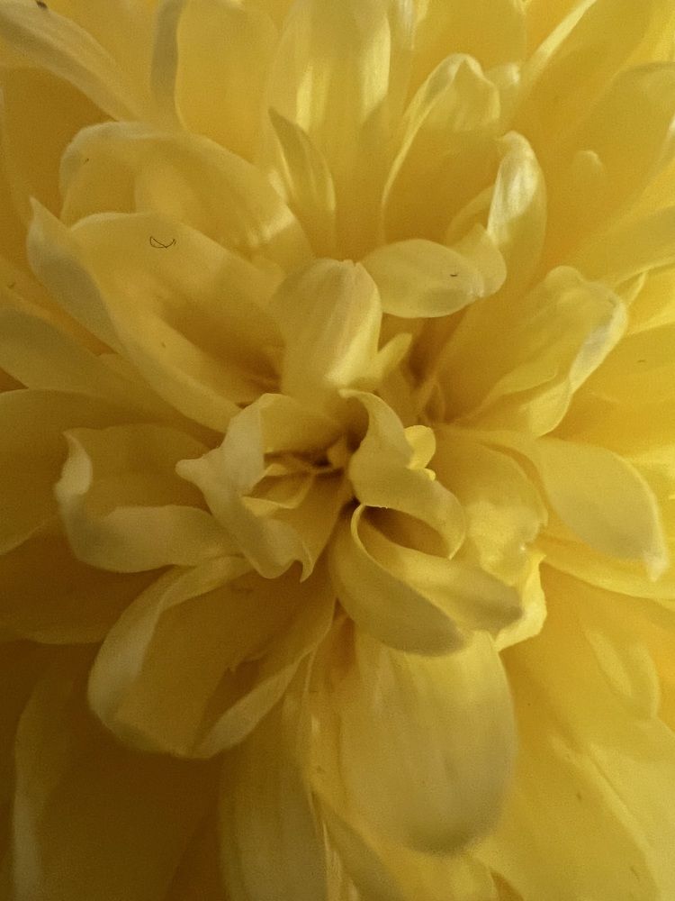 Photograph by Алла Кочергина