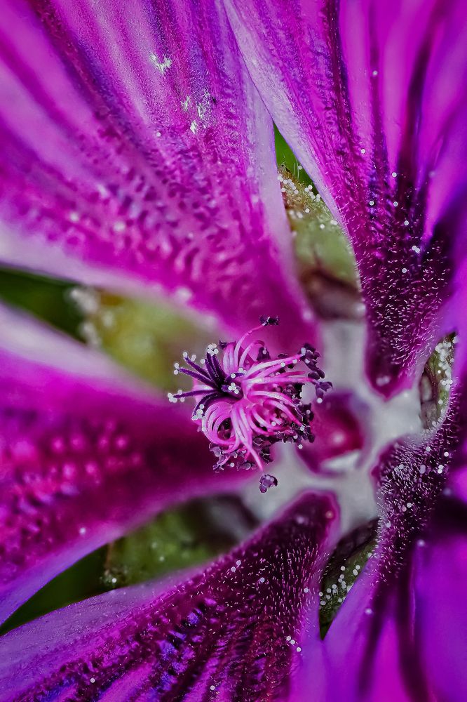 Photograph by Савчук Анатолий