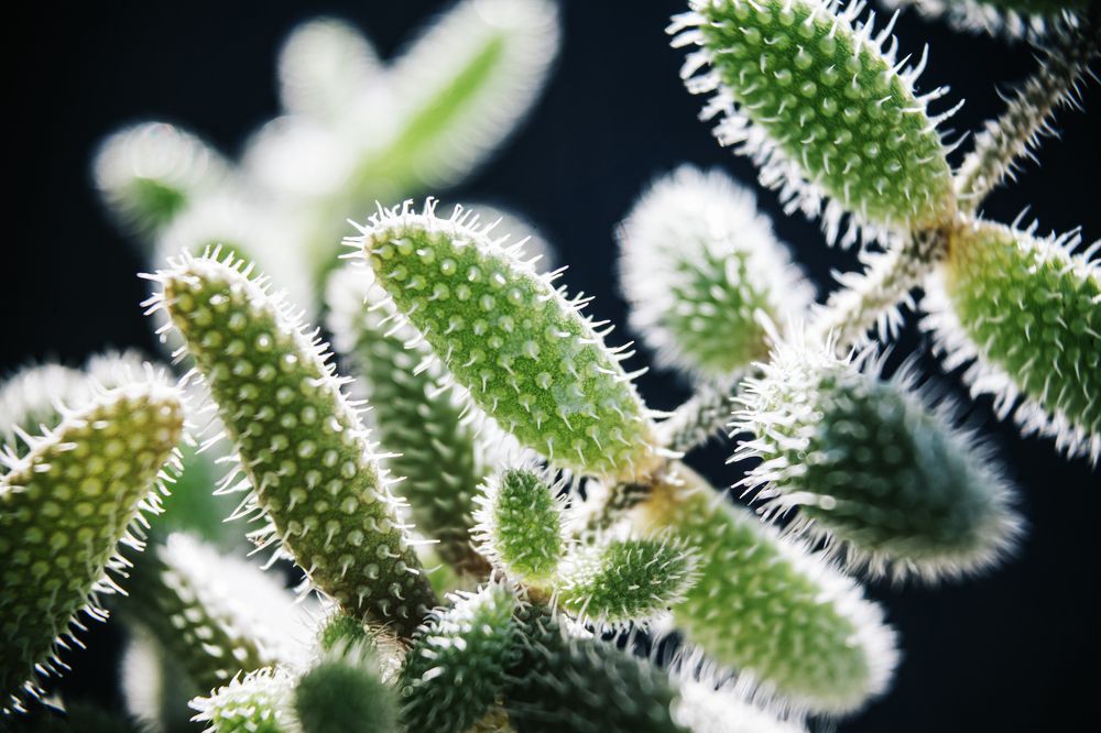 Photograph by Fábio Martins