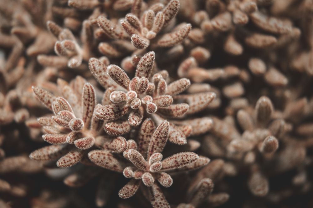 Photograph by Fábio Martins