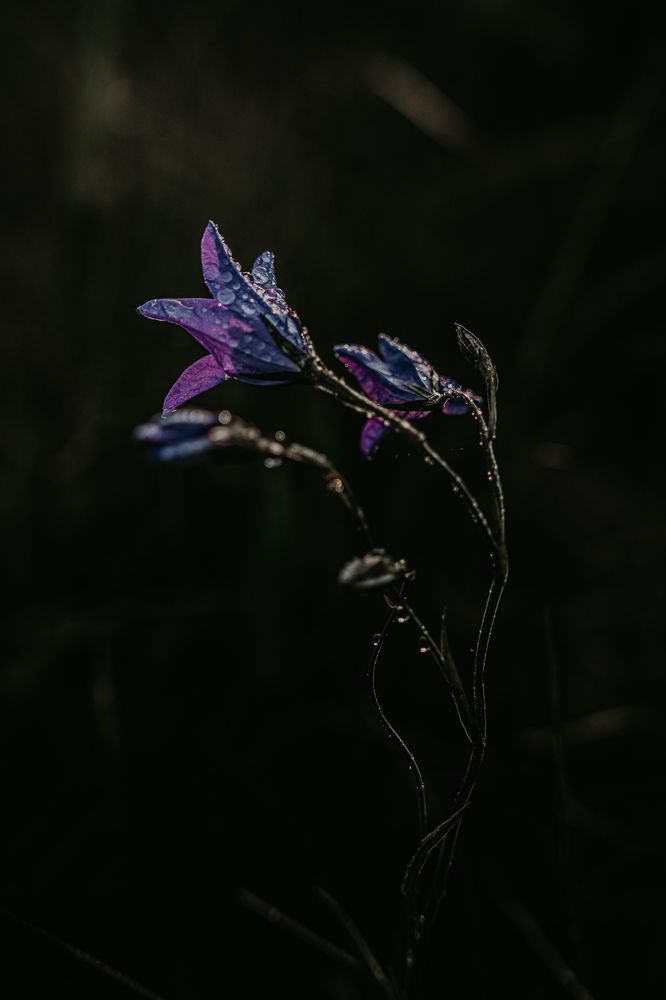 Photograph by Елена Соколова