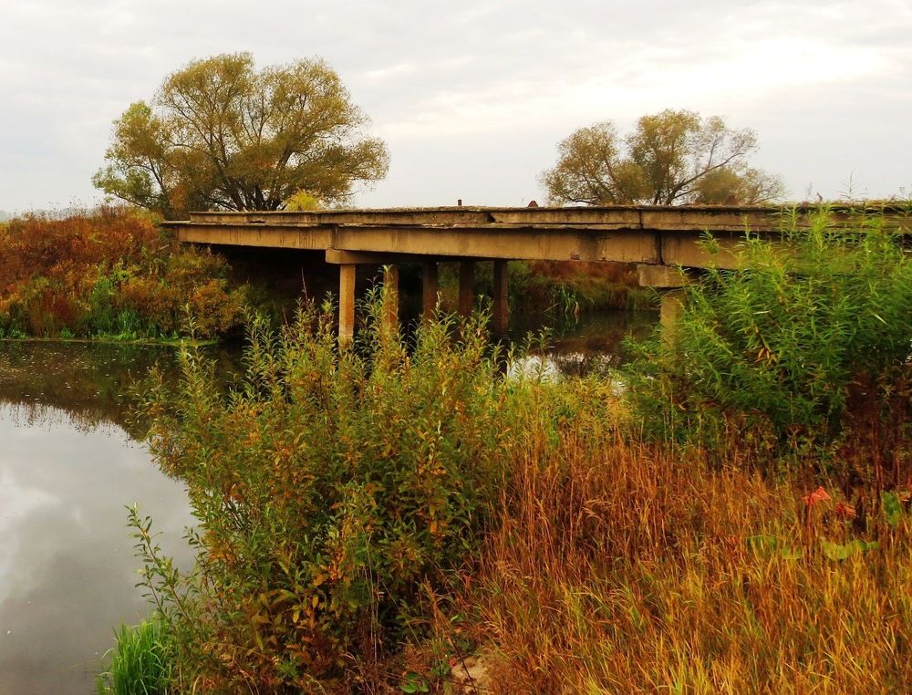 Мост через речку