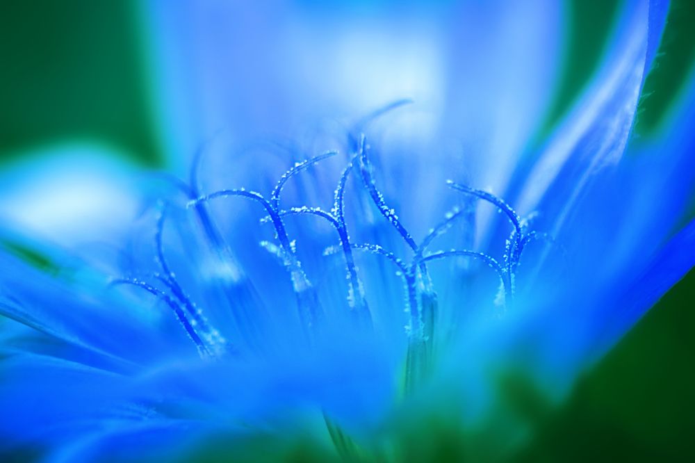 Photograph by Ольга Ильина