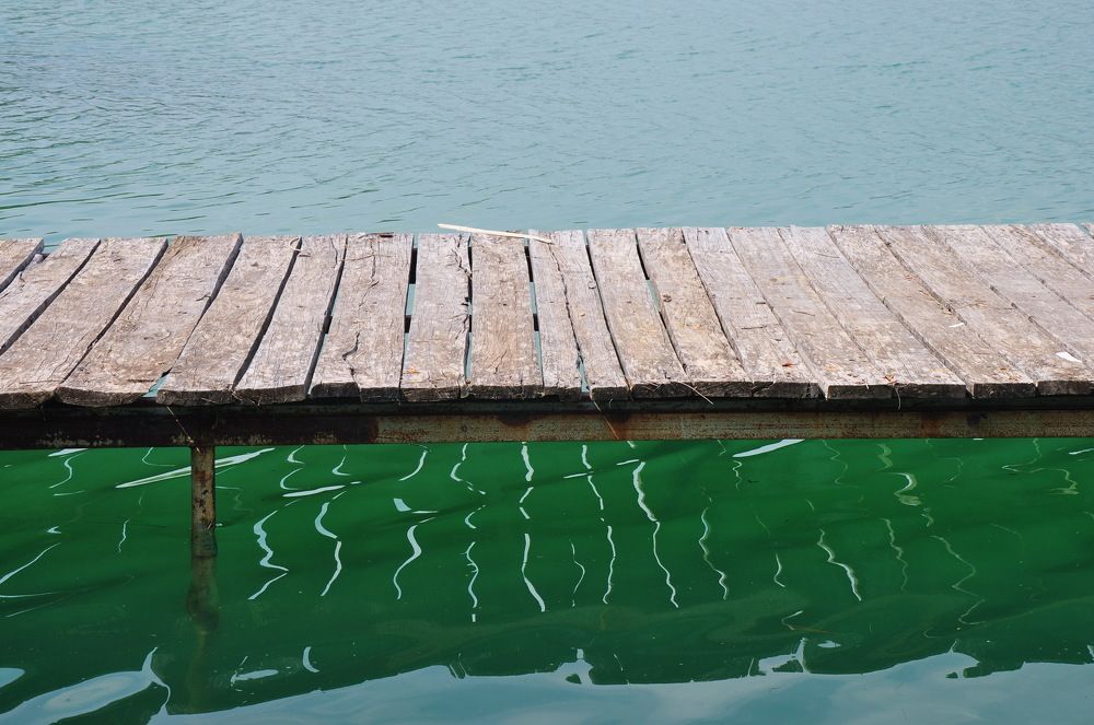 Photograph by Ольга Шуякова