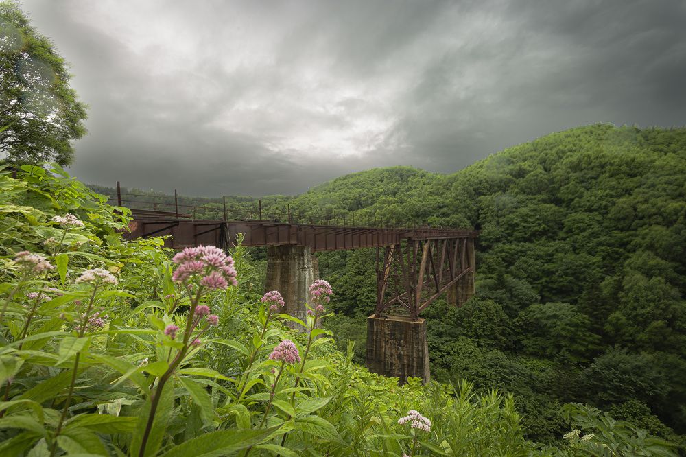 Фотография автора Лаврентьев Александр