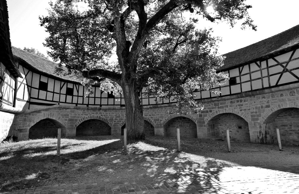 Photograph by backareva irina