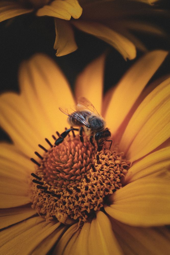 Фотография автора Юрий Серов
