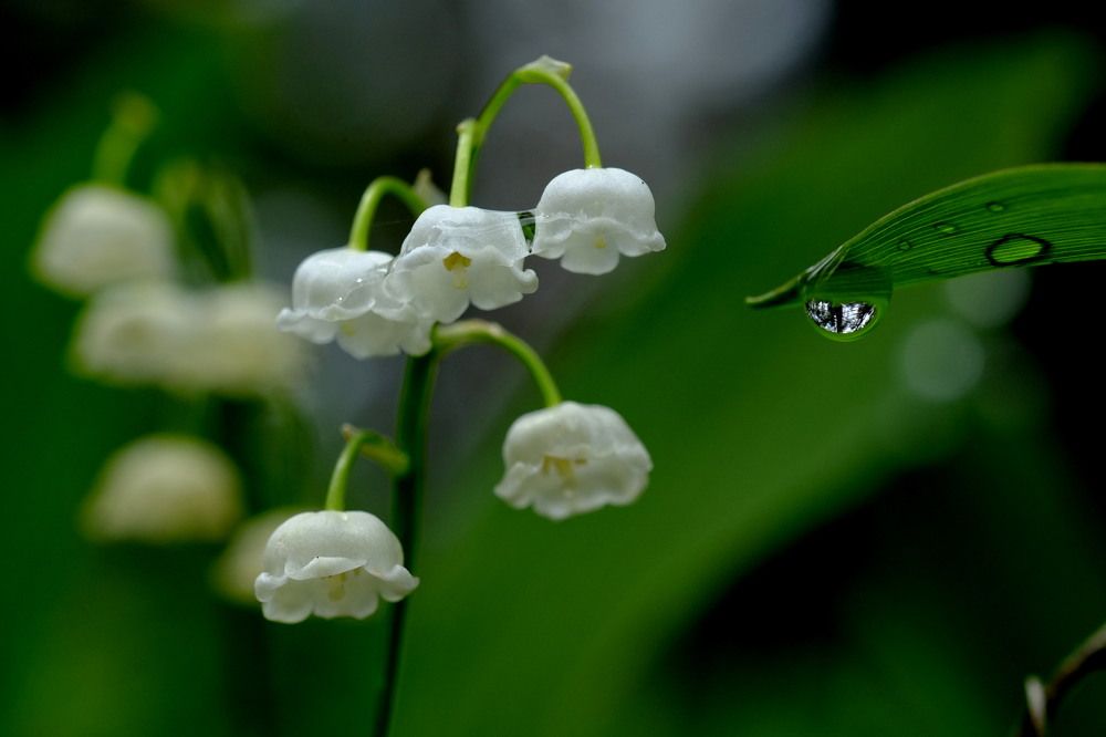 Photograph by Александр Строков