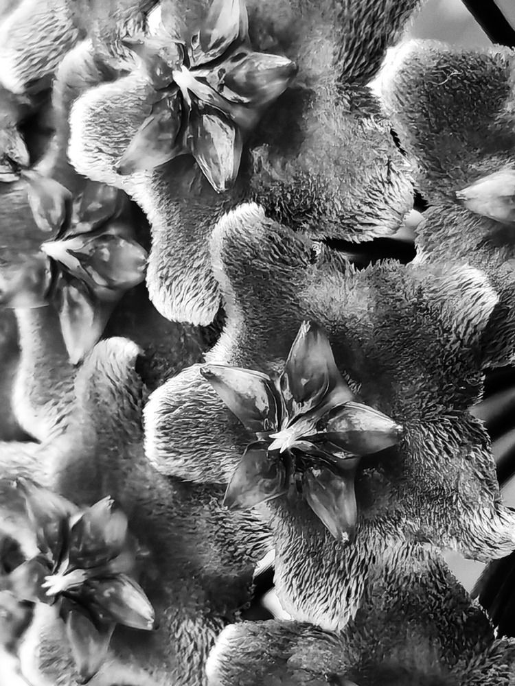 Photograph by Юлия Чичагова