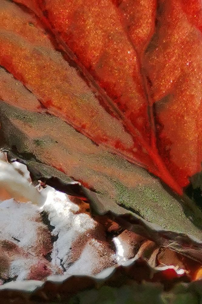 Photograph by Юлия Чичагова