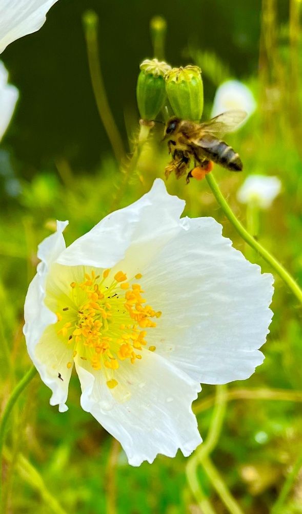 Photograph by Александр Мокров