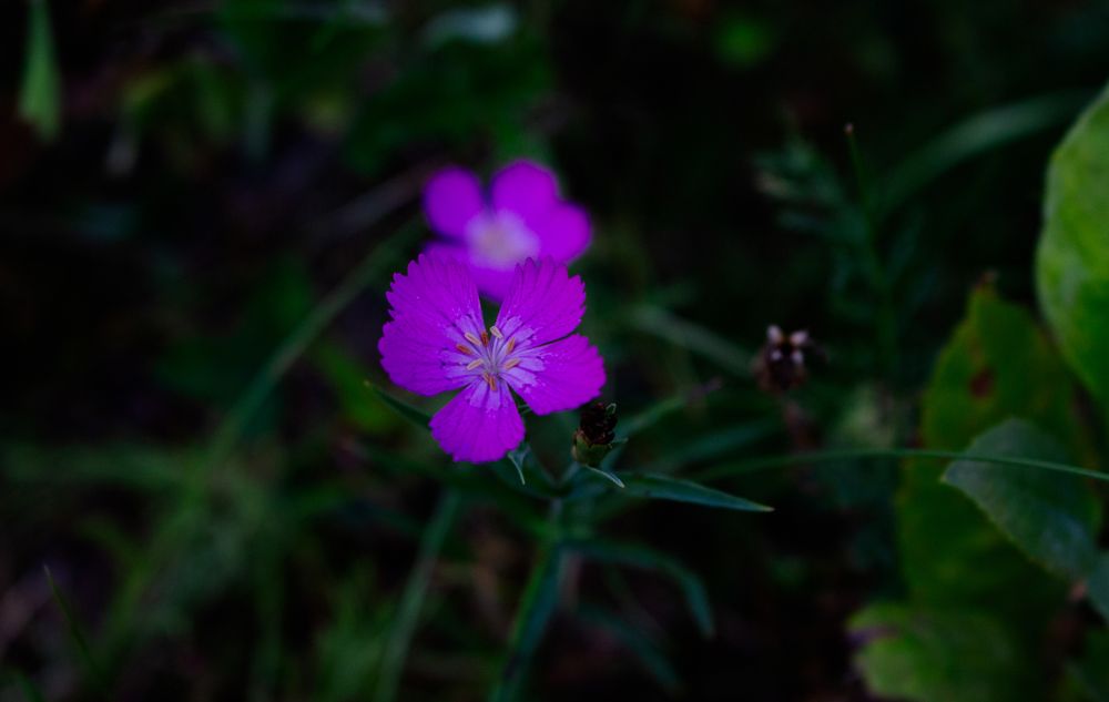Photograph by Святослав Чех