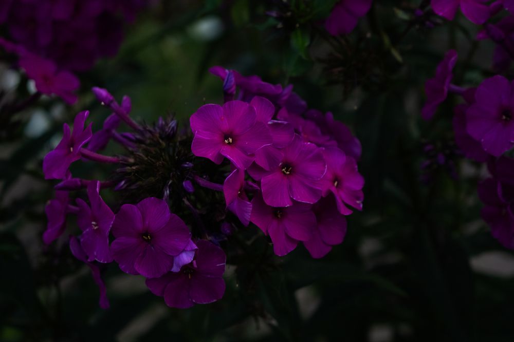 Photograph by Святослав Чех
