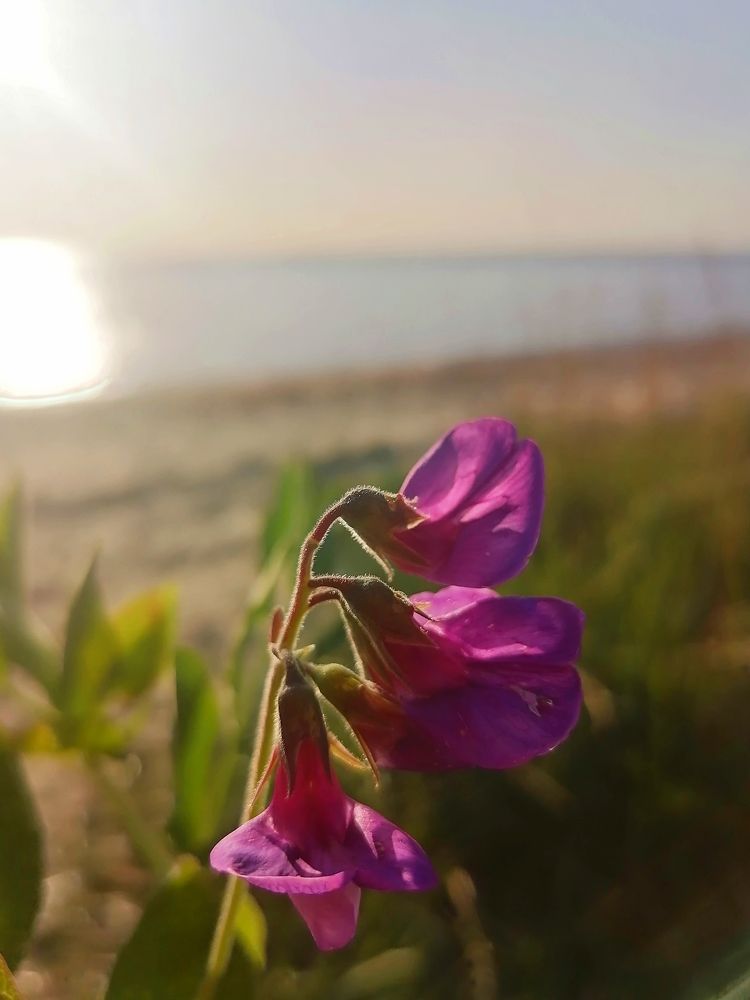 Photograph by Татьяна Бешенкина