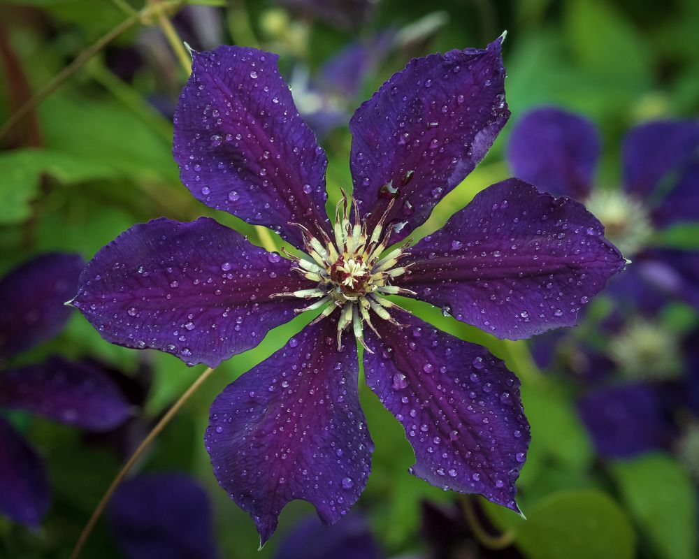 Photograph by Сергей Богданов