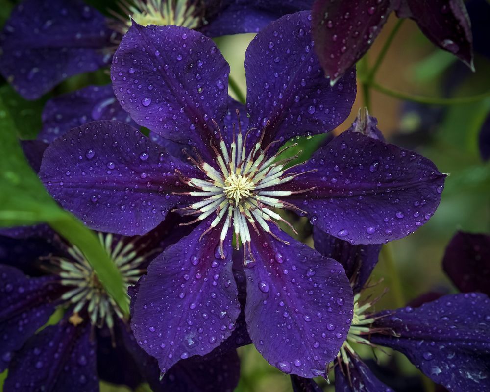 Photograph by Сергей Богданов