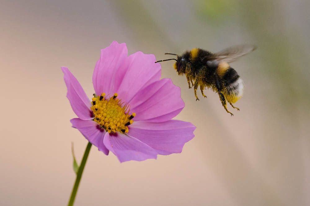 Photograph by Дмитрий Солодухин