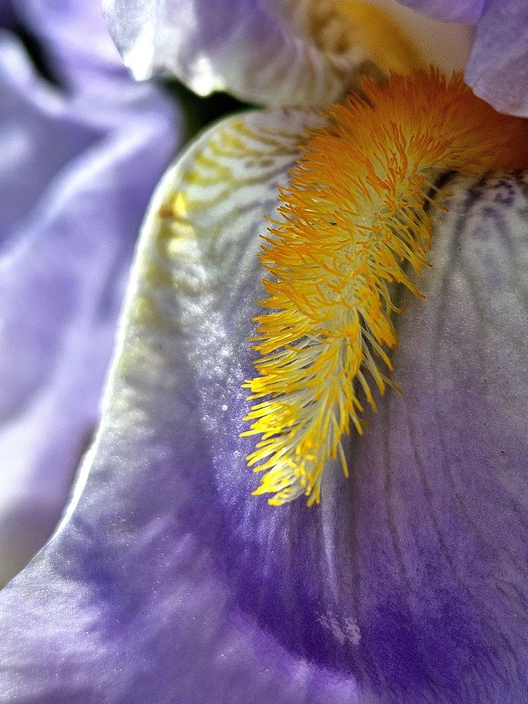 Photograph by Наталья Пагоцкая