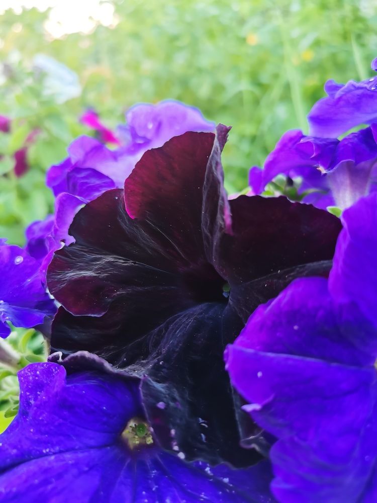 Photograph by Анастасия Мальцева