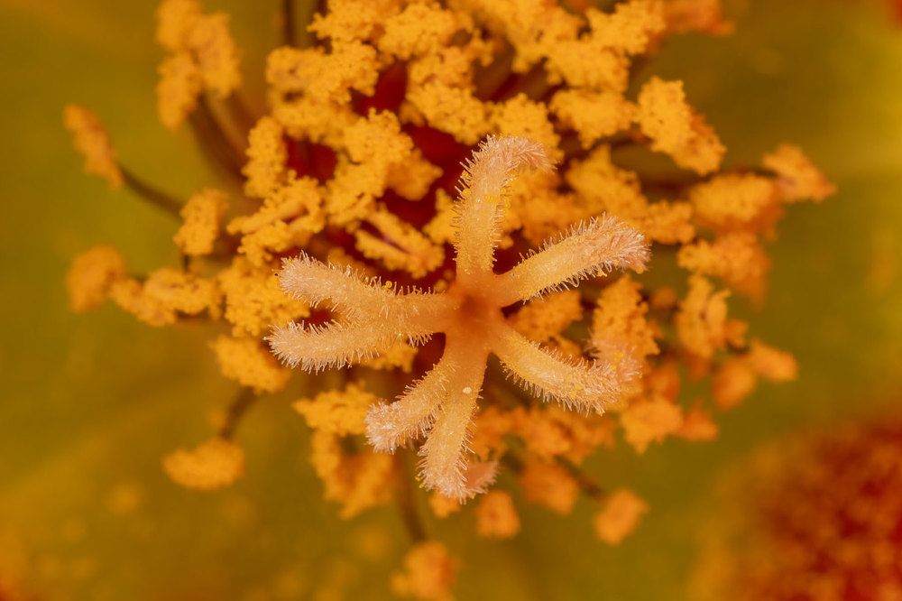 Фотография автора Виталий Сурков