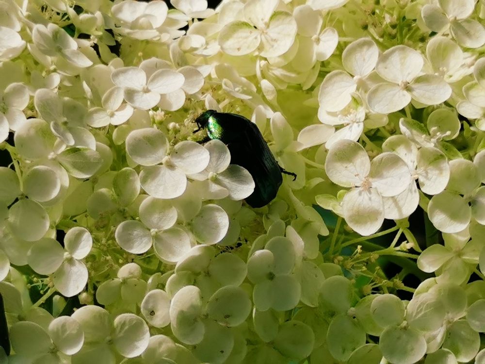 Photograph by Анастасия Мальцева