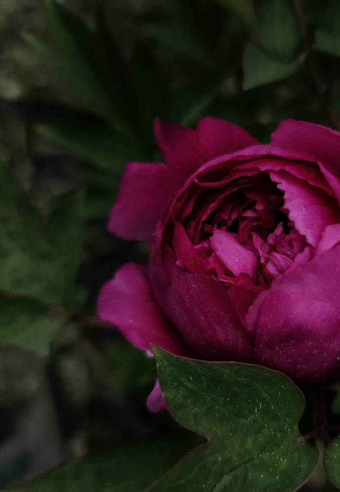 Photograph by Natalia Sopoćko