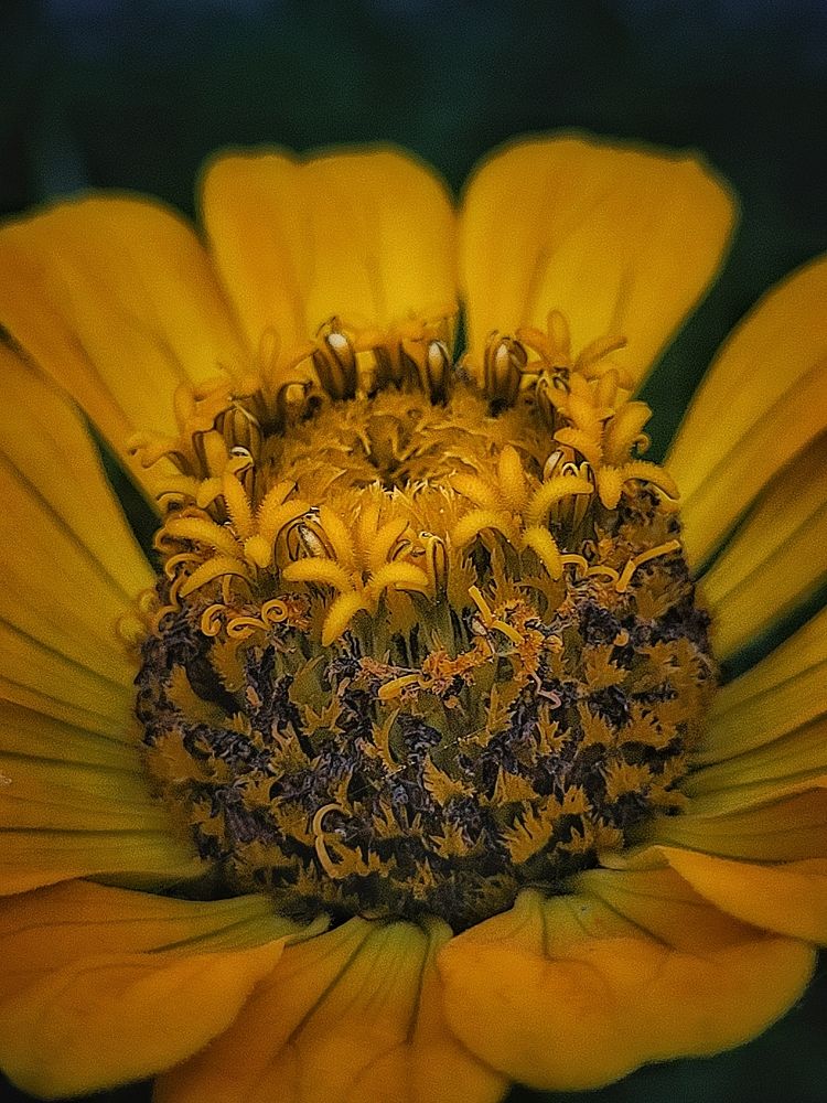 Photograph by Елена Иванова