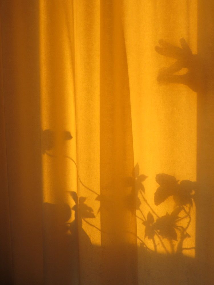 Photograph by Татьяна Поминова