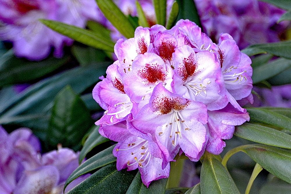 Photograph by Вадим Гераскин