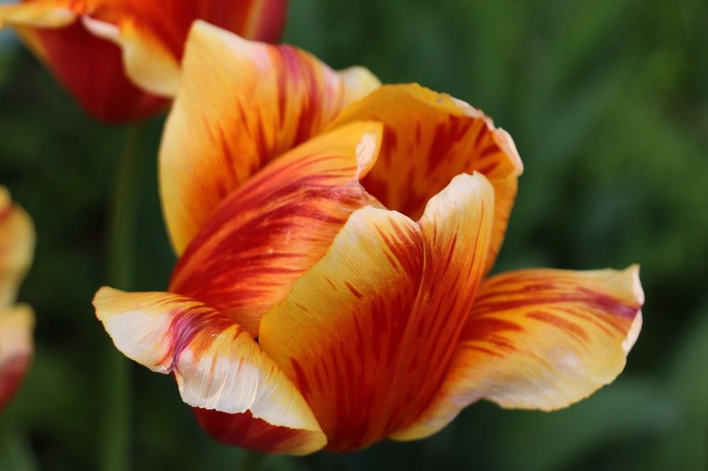 Photograph by Анастасия Свиридова