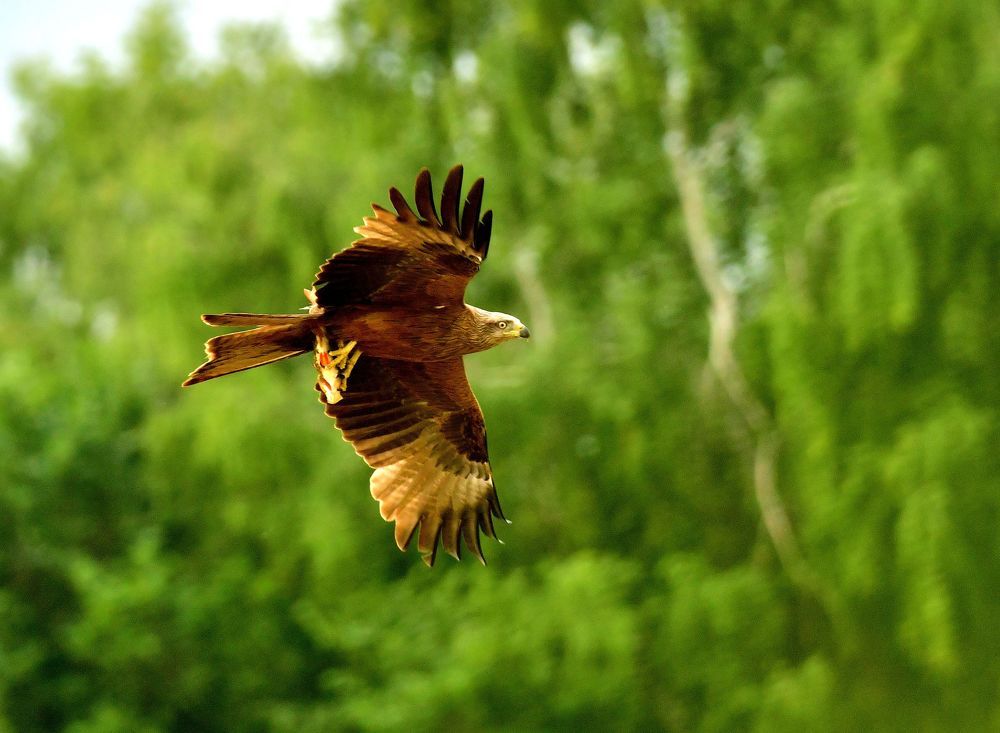 Photograph by Николай Абакумов