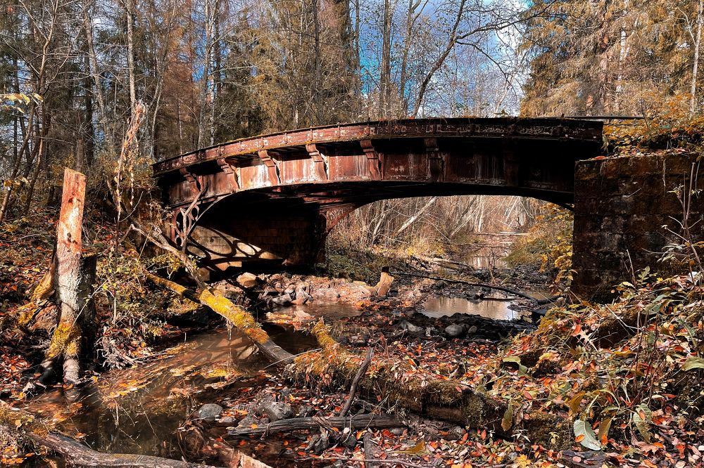 Photograph by Елена Герасимова