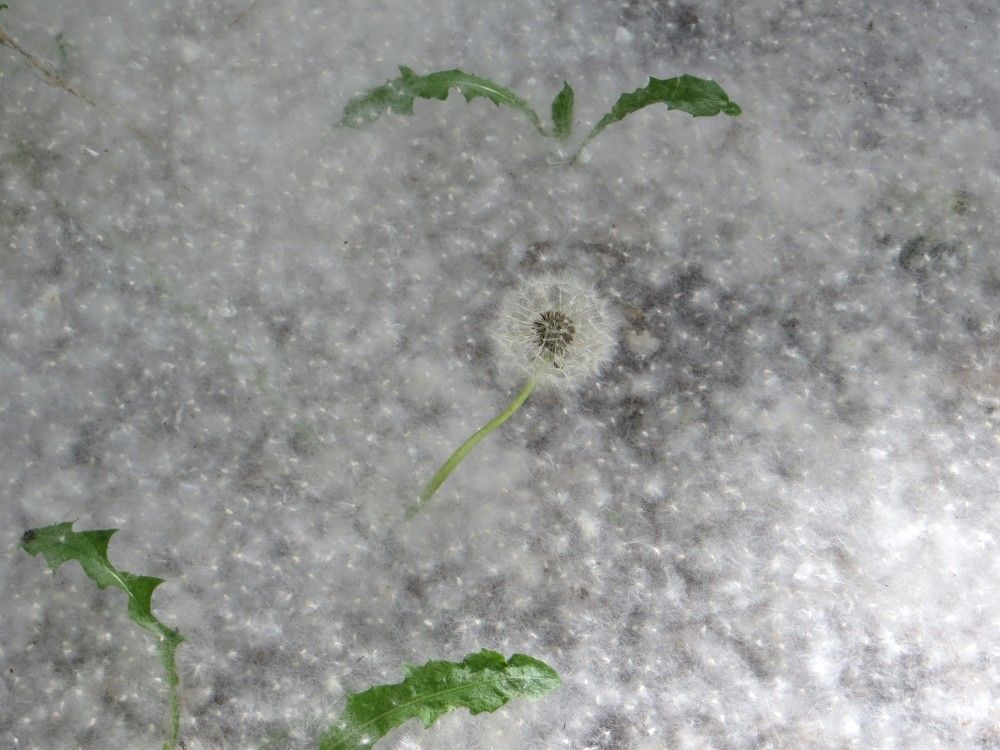 Photograph by Татьяна Поминова