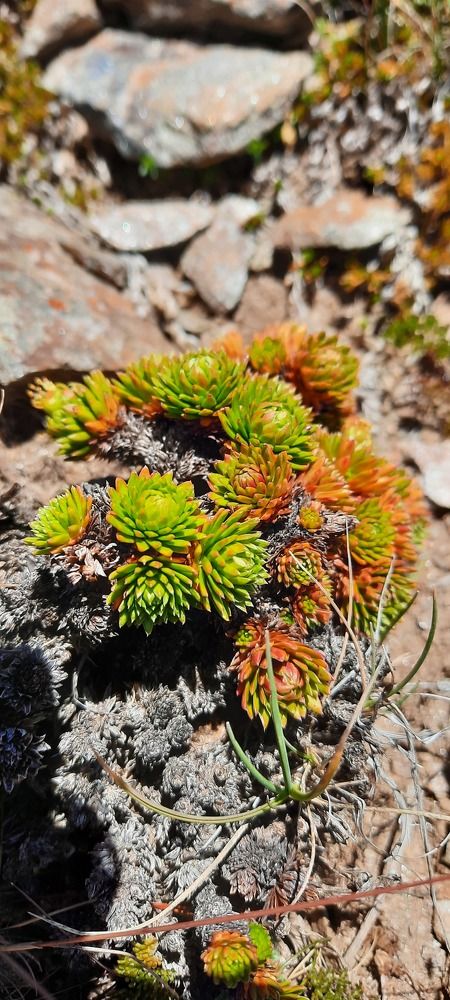 Photograph by Елена Валерьевна