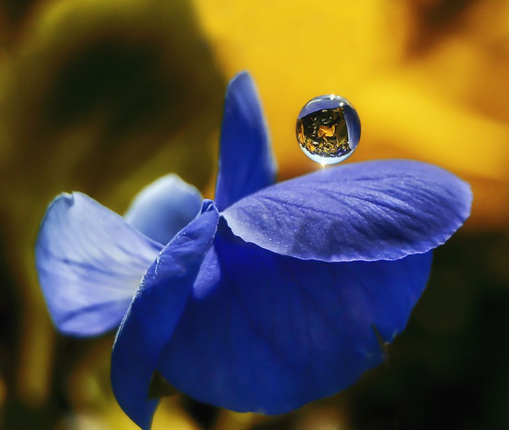 Photograph by Natalia Bolotenkova