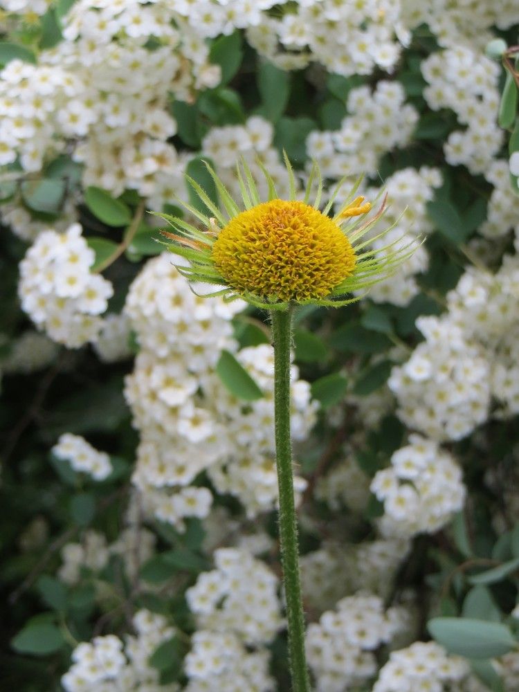 Photograph by Татьяна Поминова