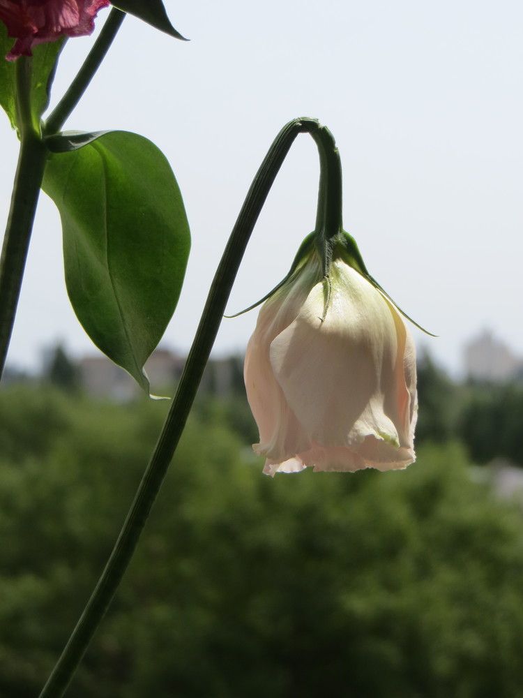 Photograph by Татьяна Поминова