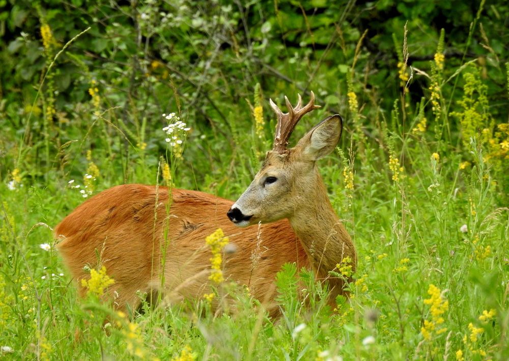 Photograph by Татьяна Калугина
