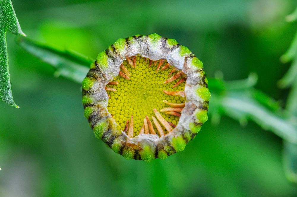 Photograph by Олеся zme