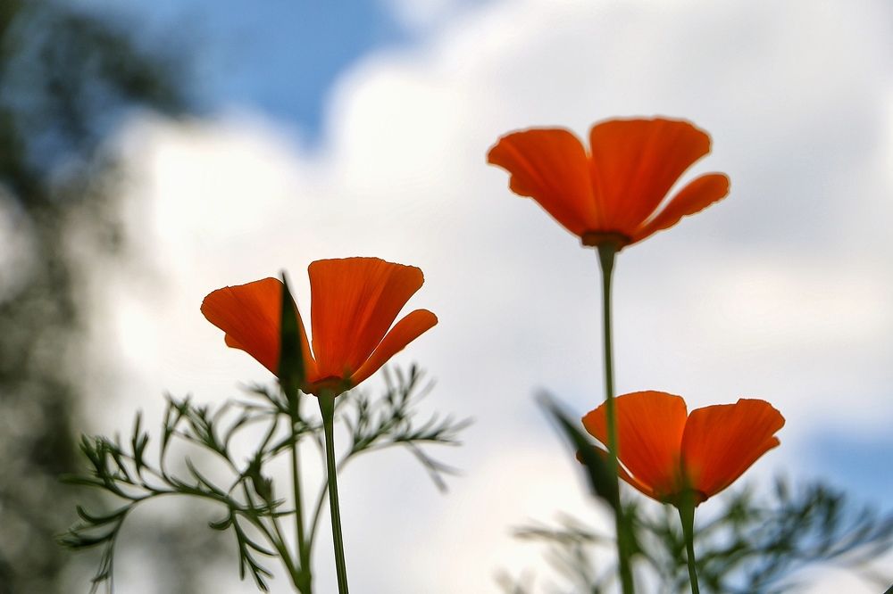 Photograph by Елена Клементьевская