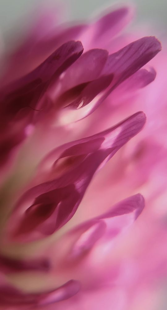 Photograph by Наталья Шумилова