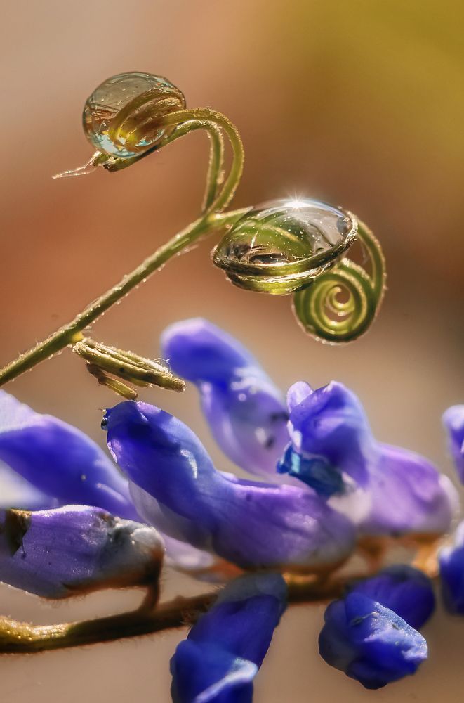 Photograph by Natalia Bolotenkova