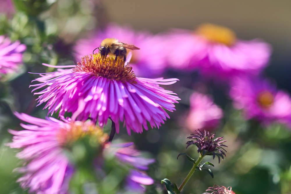 Photograph by Дмитрий Солодухин