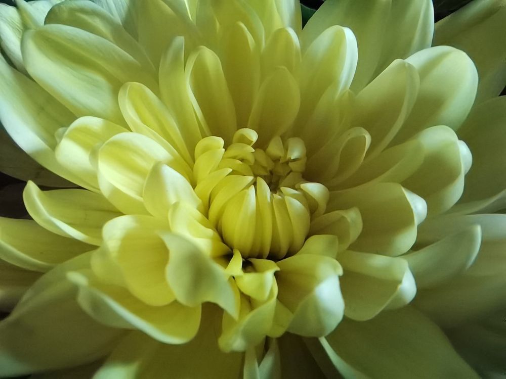 Photograph by Анастасия Мальцева