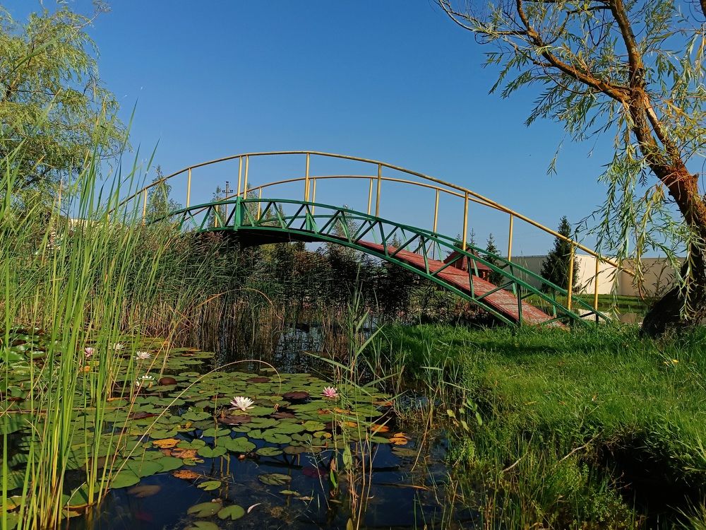 Photograph by Olga Kot