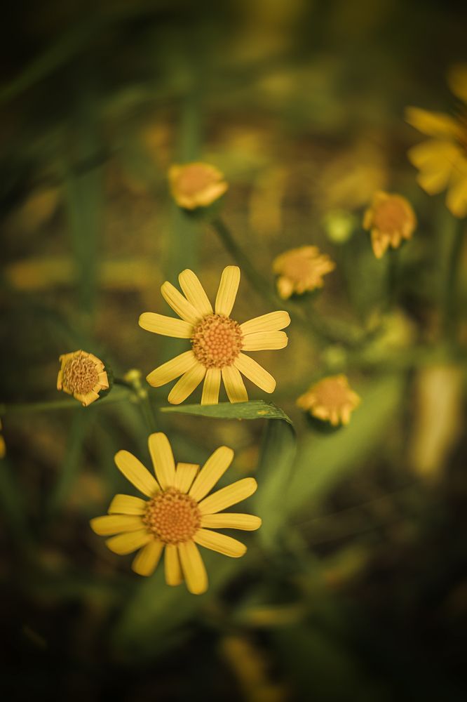 Photograph by Елена Власова