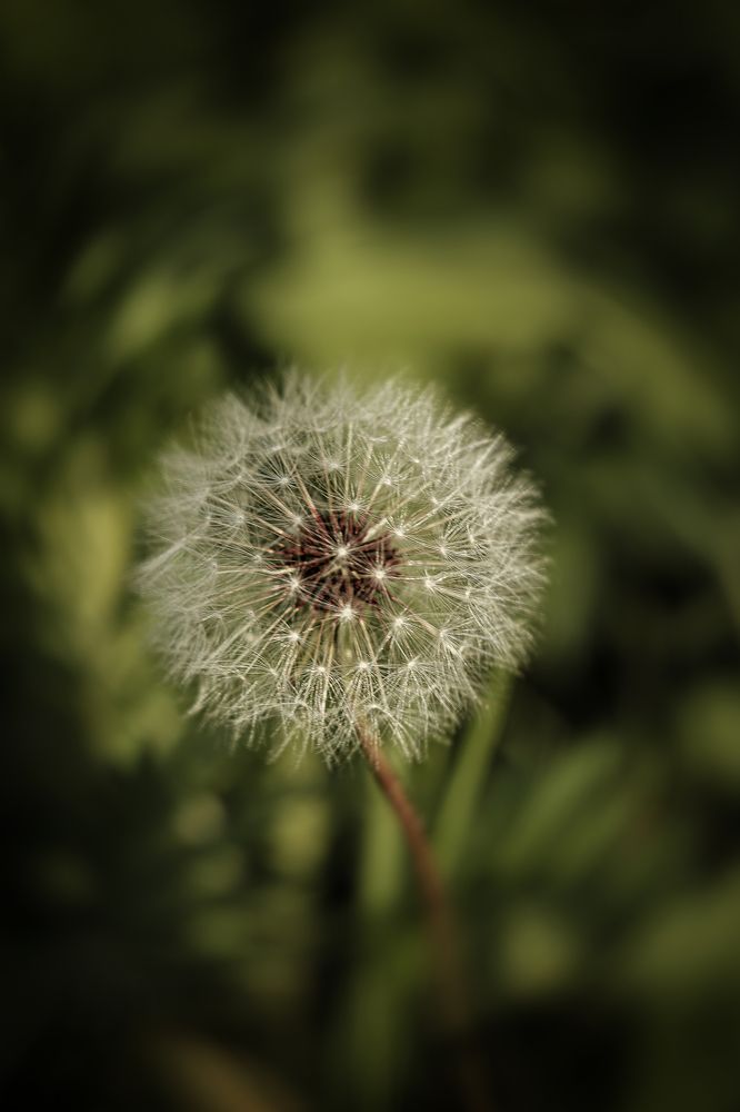 Photograph by Елена Власова